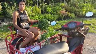 Ландшафтный дизайн по-тайски