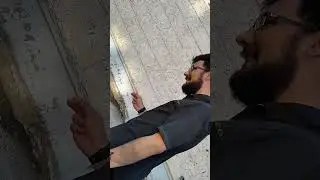 что бывает милым? хотдог