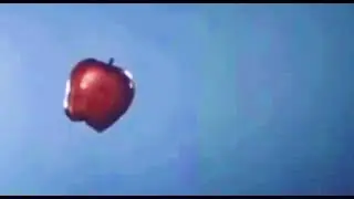 4 августа 2021 г.