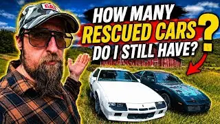 How Many Junkyard/Barnfind Cars do I still own???