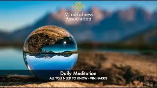 Daily Meditation -  All You Need to Know - Vin Harris