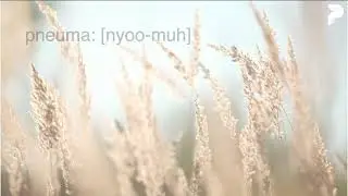 Pneuma Church - Sunday Service 28/07/2024