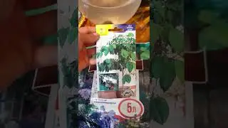 16 июня 2023 г.