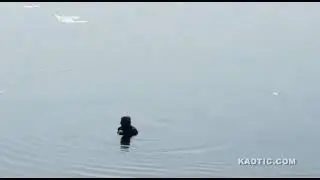 Woman killed by crocodile