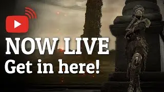 NOW LIVE! Testing a BUNCH of DLC WEAPONS/BUILDS