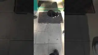 тëтя марина ну пустите мы не будем пиво брать честно!!!