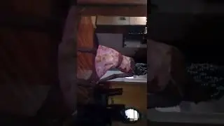 Bonde las Maravillas