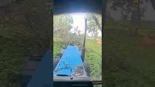 Расчистка участка от старых деревьев,ГОРЫНЫЧ ТОП!