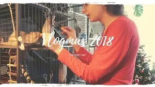 A Very Rattie Christmas | Vlogmas 2018 #2