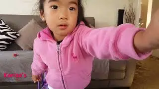 Little live pets mice