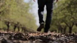 лето