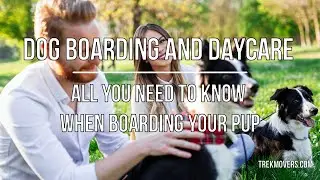 DOG BOARDING AND DAYCARE: ALL YOU NEED TO KNOW WHEN BOARDING YOUR PUP 🚍 - TrekMovers