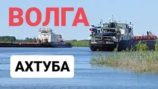 #Волга, #самоходки, #лодочки. #Жизнь на реке #Волга. Прекрасный #день, г. Ахтубинск 2024