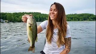 Dropshot for BASS