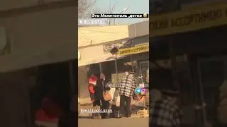 Собака на крыше в Мелитополе
