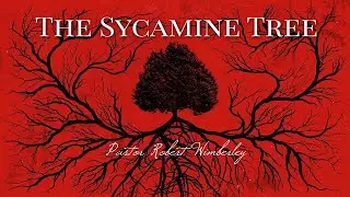 The Sycamine Tree | Pastor Robert Wimberley