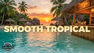 Tropical Lounge | Smooth Relaxing Chillout Beats for Study, Focus & Relax