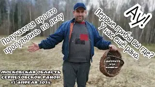 Первый выход в лес за грибами в Московской области середина апреля 2024.