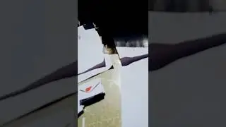 31 мая 2024 г.