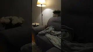 ❤️Кот Артём❤️