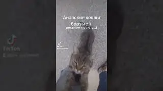 4 декабря 2021 г.