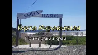 Уссурийский залив.Муравьиная бухта.Пляж 