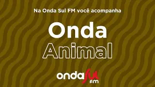 28/08/24 Onda Animal - Tire dúvidas sobre a saúde do seu pet