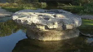 The Round Rock In Round Rock (Texas Country Reporter)
