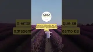 Momento Espirita -para não ser infeliz