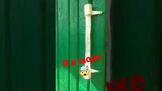 Ужас! 8.05.23. 11 часов утра