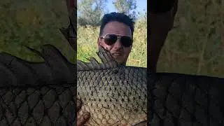 Сазан 5+ на річці Дністер #fishing  #carp #carpfishing