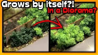Realistic miniature bushes that grow by themselves - diorama hack!