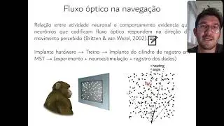 Aula 08 - Percepção visual e ação (parte 2)