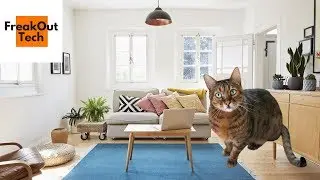 5 Awesome Inventions Your Cat Will Love