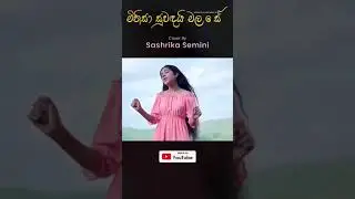 Official YouTube Channel Subscribe & Stay Tuned Guys | Sashrika Semini Official