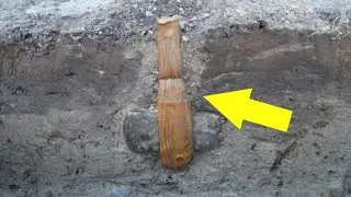 5,500-Year-Old Axe Found Intact! Stunning Stone Age Discovery in Danish Seabed.