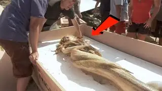 This is the first time a real mermaid has been caught on camera