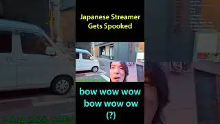 Japanese Streamer Gets Spooked
