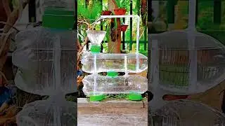 water ⛲ fountain #fun #science #experiment #physics