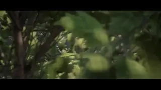 Red Dead Redemption 2 Стримлю Лапками