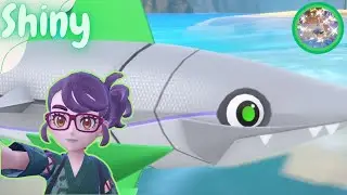 ♡Shiny Veluza Reaction♡ 516 Eggs MM No Charm | Pokémon Violet