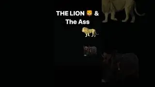 Lion 🦁 #englishstream #learnenglish #ingles #speakenglish #pronunciation #grammar #ingilizce