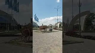 ТАРАЗ #youtubeshorts #astana #Almaty #shymkent #shortvideo