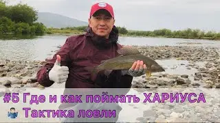 #5 Где и как поймать хариуса. Тактика ловли и места стоянки рыбы