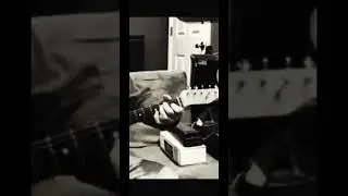 Here’s a little lounge music this evening. #guitar #wannabejazz #fender #fyp