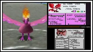 Shiny Moltres LIVE Reaction Pokemon Red