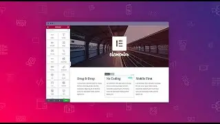 Elementor Page Builder With Live Project