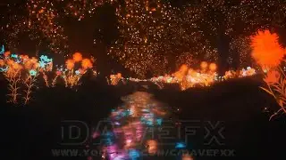 MAGIC Forest Background Loop - FLY - Fantasy Forest Background Video Loop HD