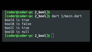 Boolean and Boolean literals in Dart Programming Language