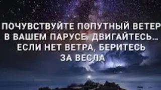 Верное ли направление вы выбрали?🤔